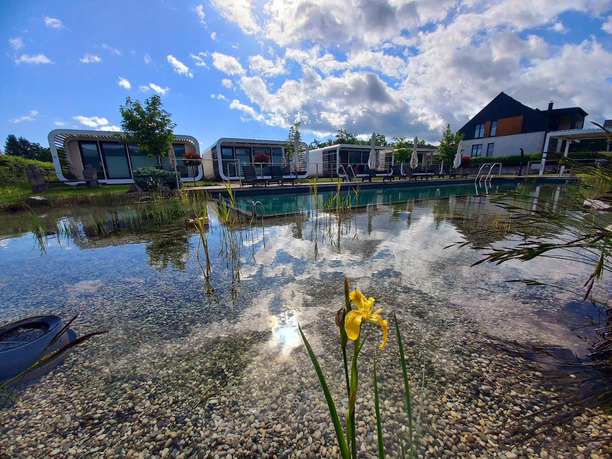 Glamping Maleric With Natural Pool Dragatuš 外观 照片